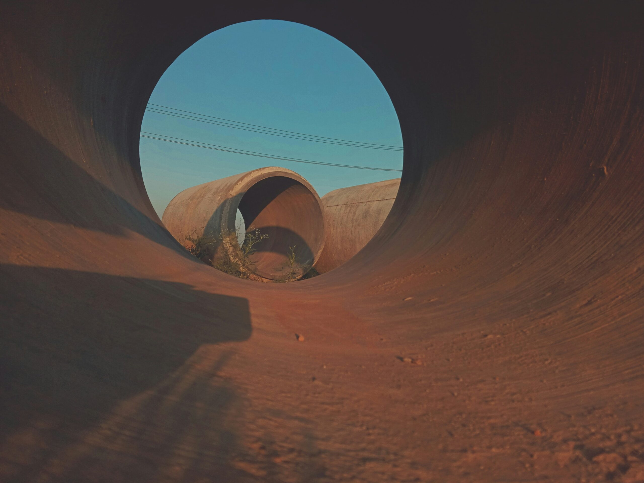 A border collie navigating an agility course with cones and tunnels.