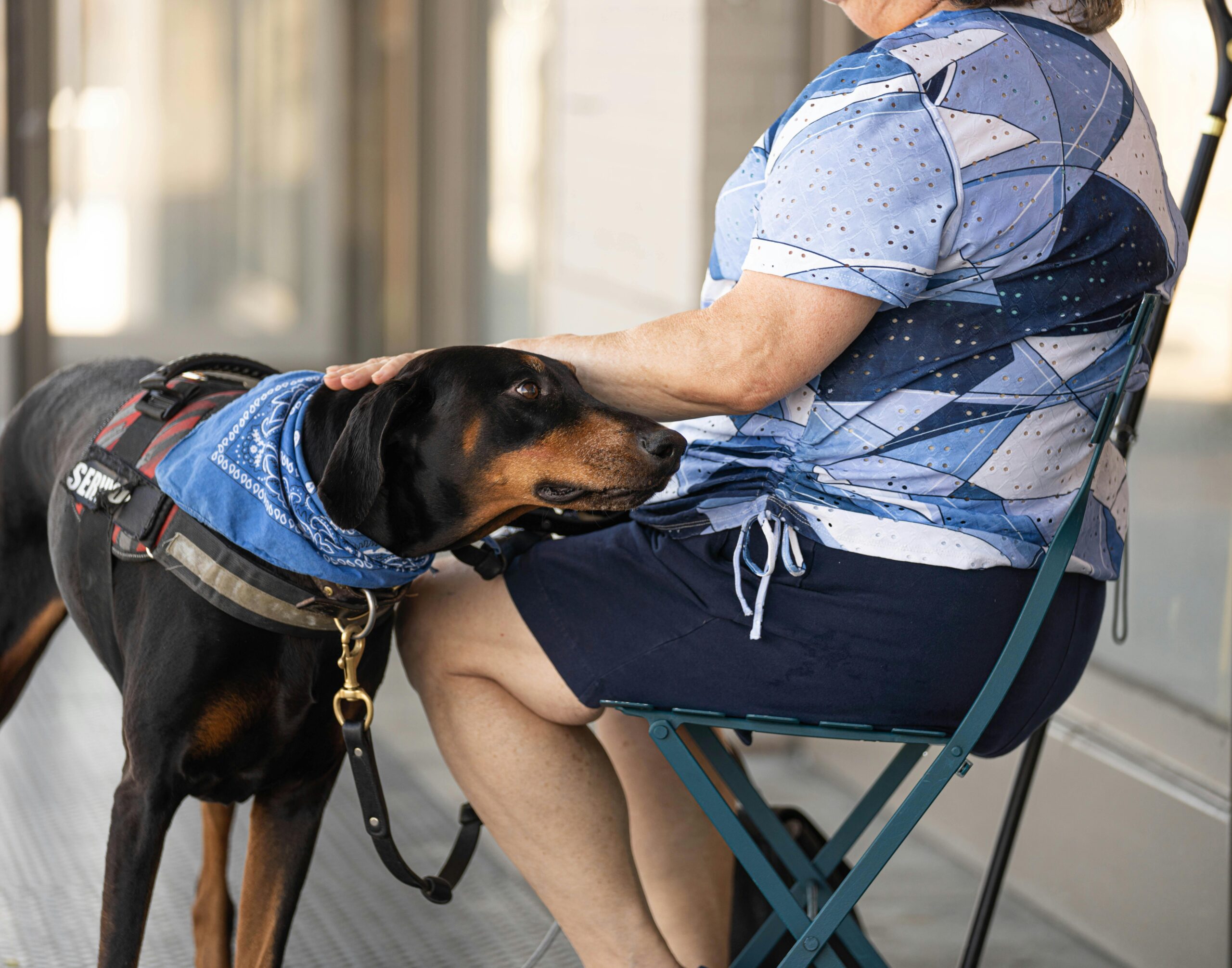 Chart showing rise in demand for owner-trained service dogs