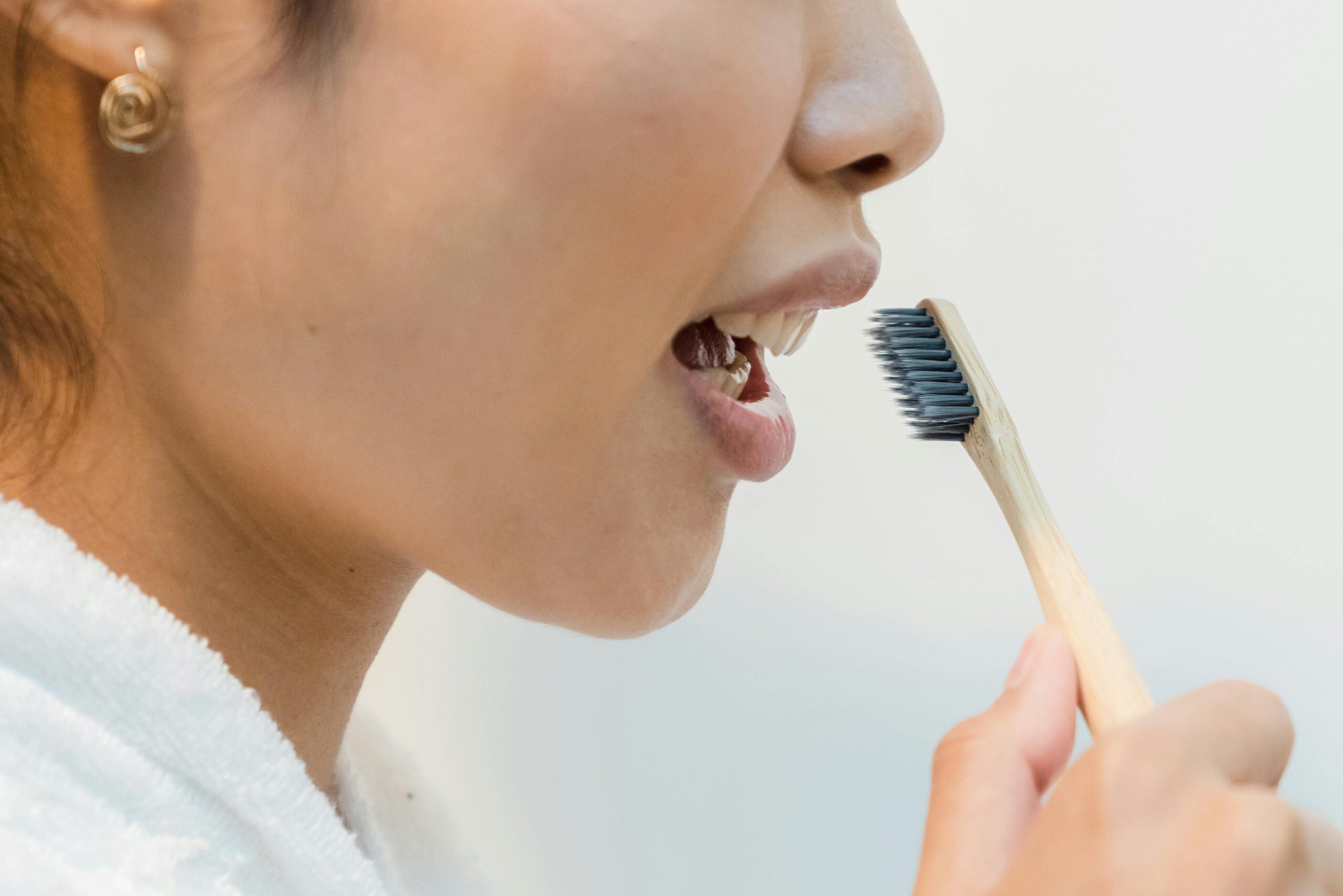 Close-up shot of someone brushing a service dog’s teeth with specialized toothpaste