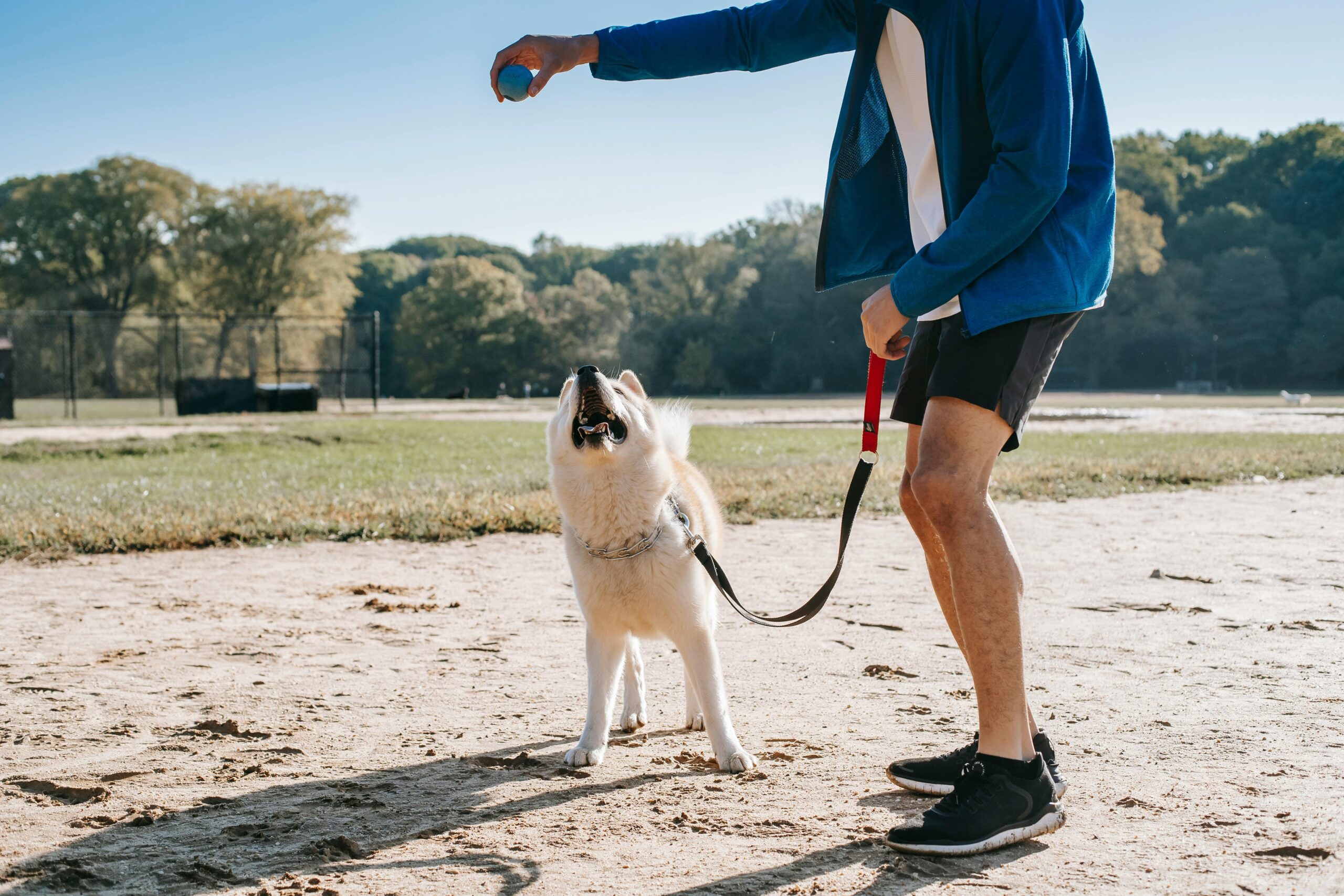 Owner Training Programs