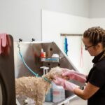Service Animal Care Guidelines