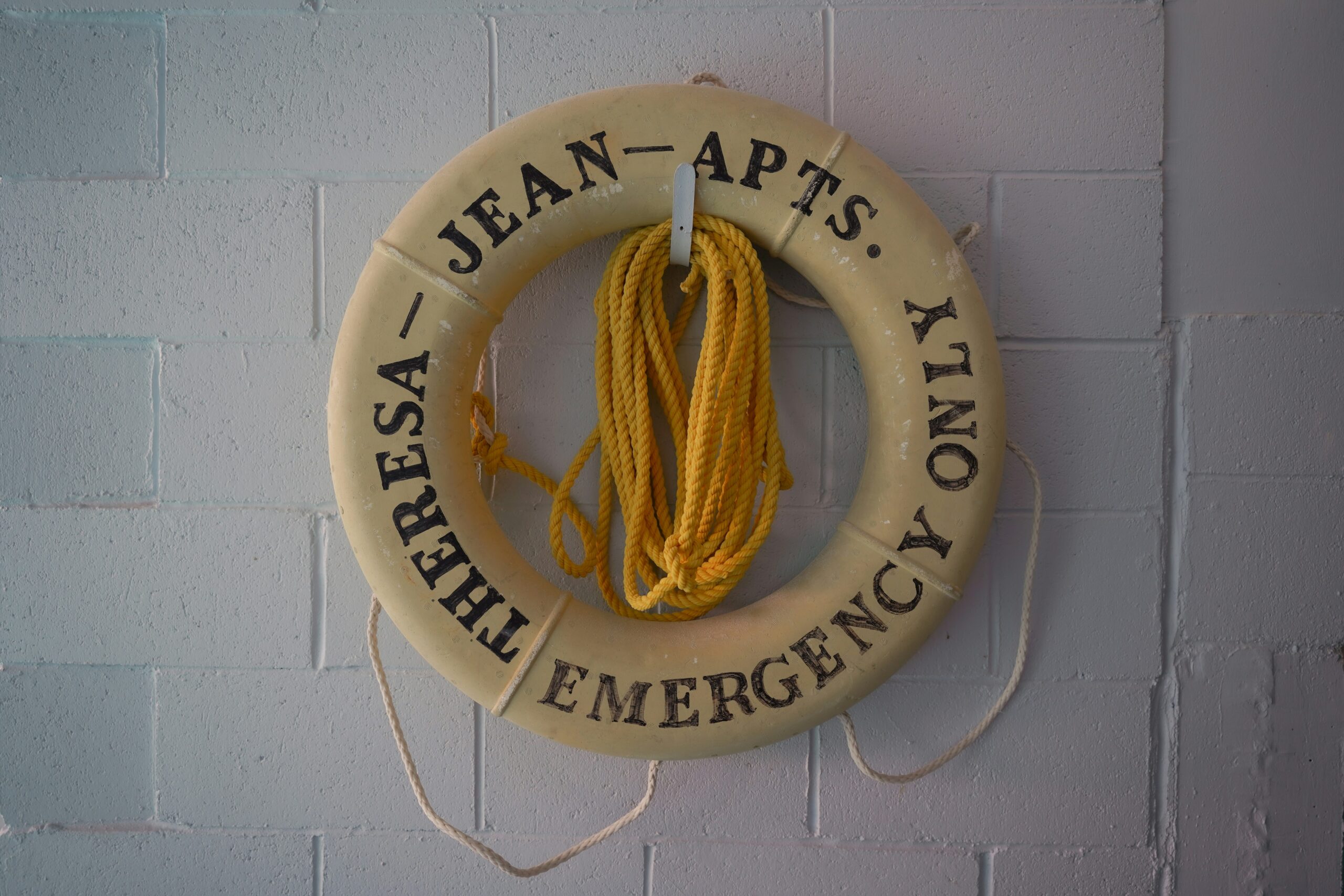 service dog in training