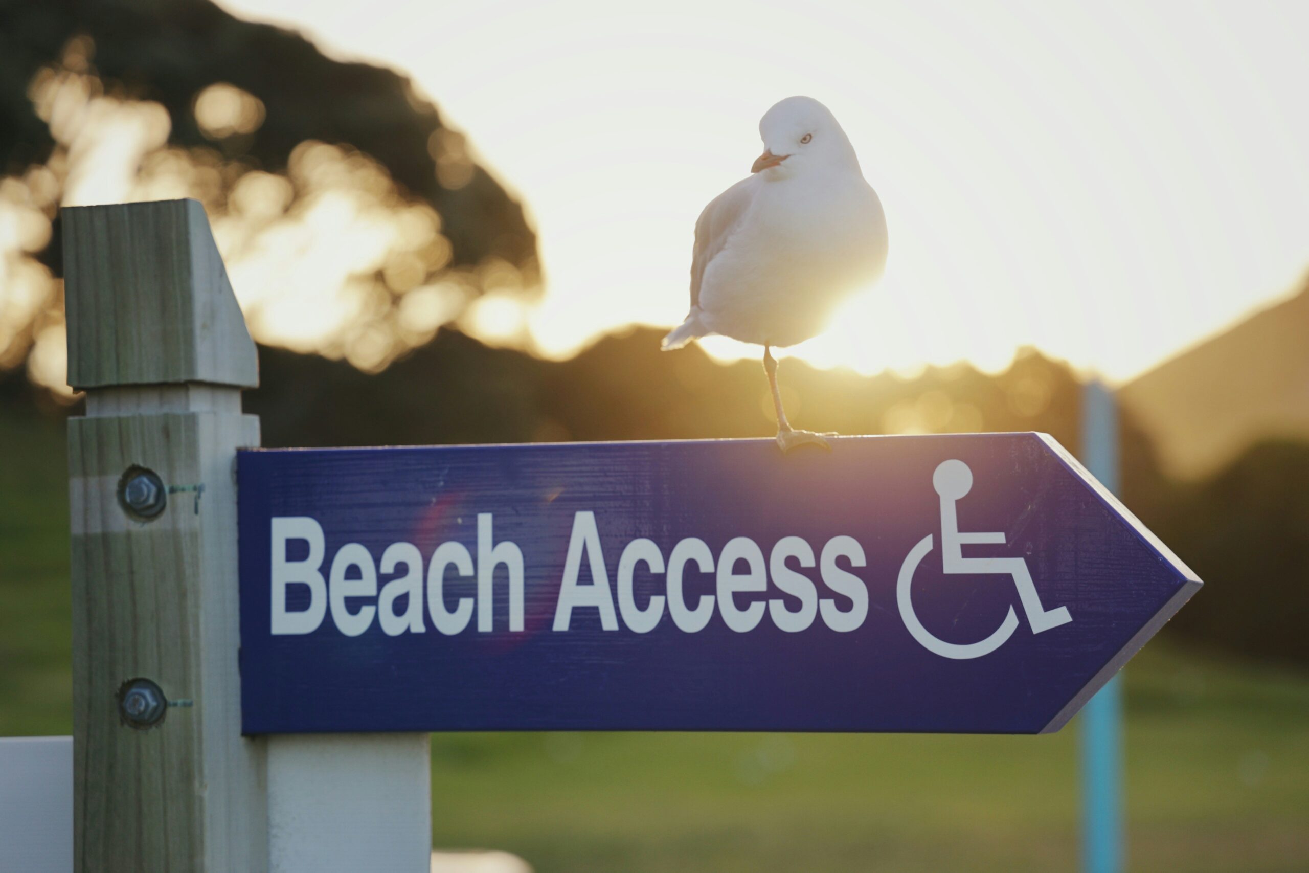 Sarah, a young woman with hearing aids, smiling alongside her service dog Luna