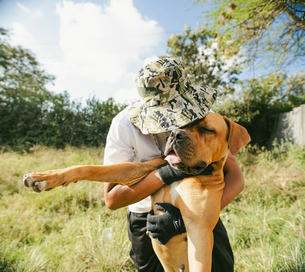 A service dog comforting its handler at home