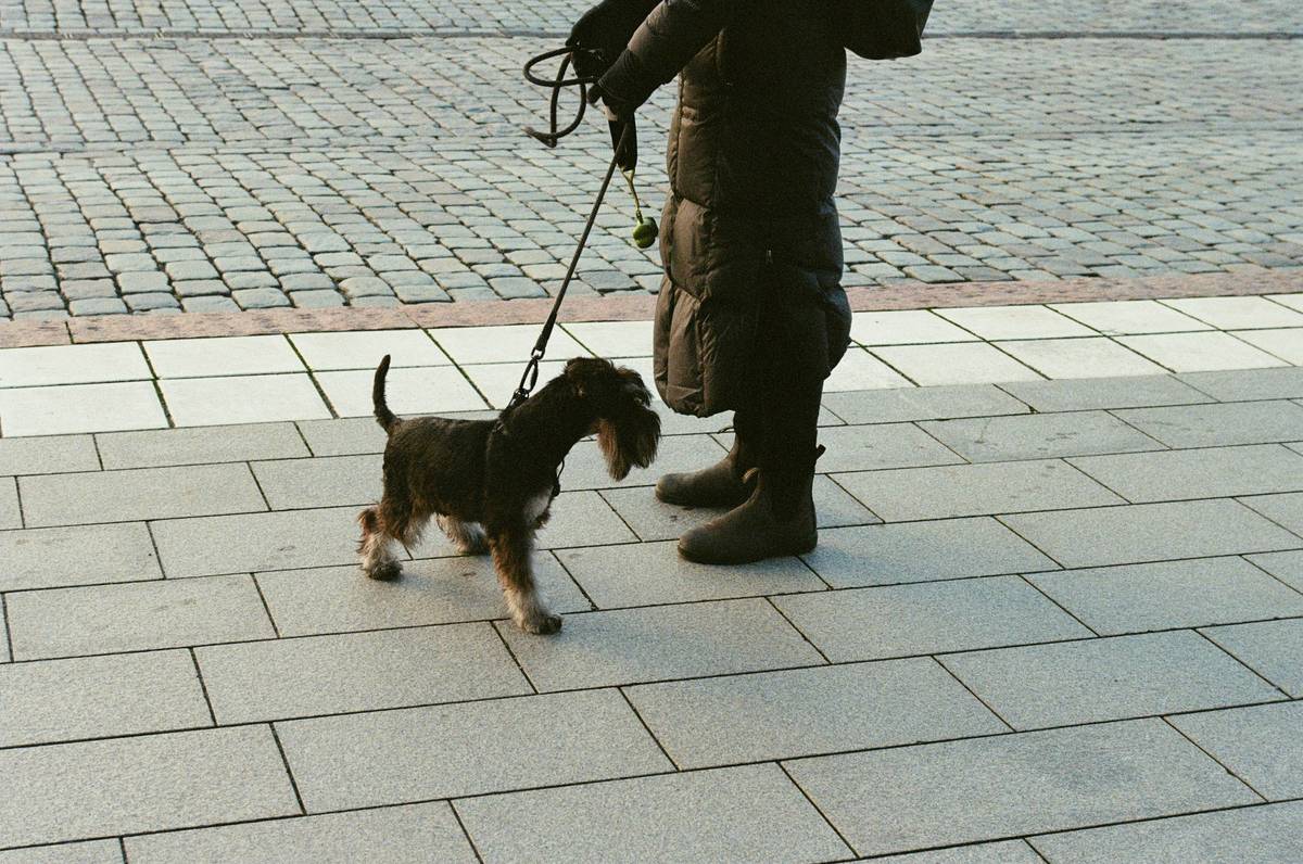 A tired handler sitting next to her calm service dog during a busy day.