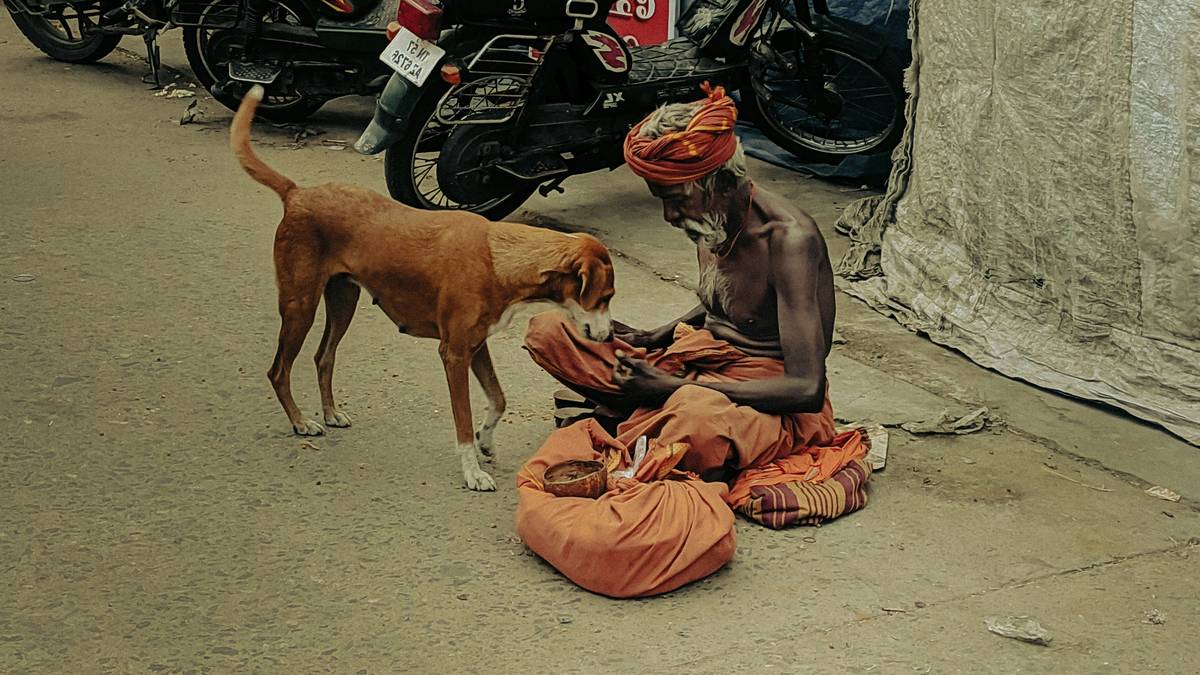 Max, a golden retriever service dog lying next to Jane during therapy session
