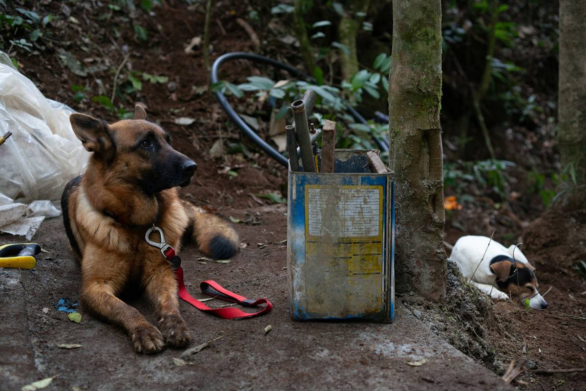 Two smiling owners hugging their well-trained support dogs