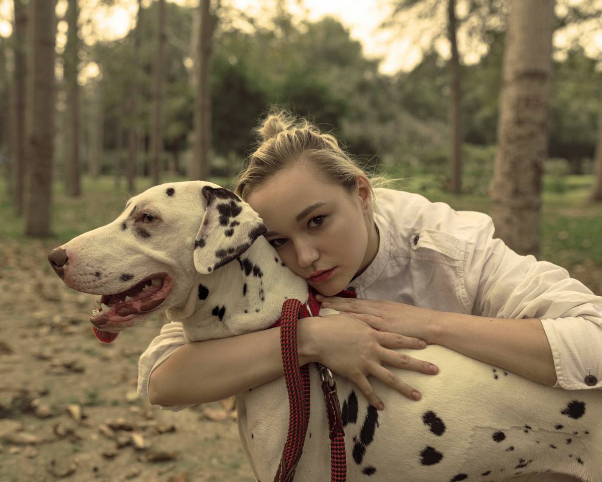 A golden retriever wearing a vest labeled 'Service Dog In Training'
