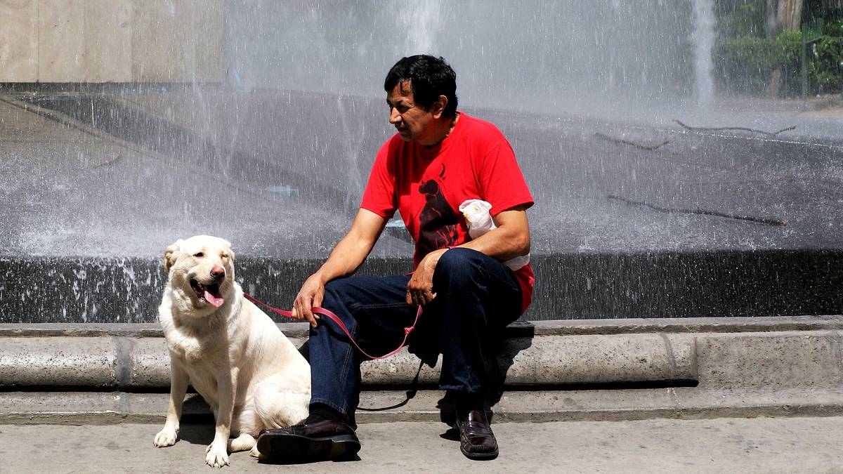 A trainer working with a service dog on a leash