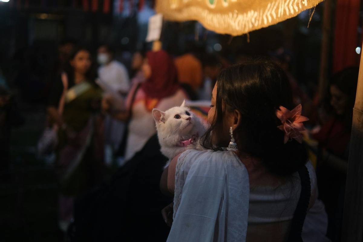 Handler giving her service dog a treat for good behavior.