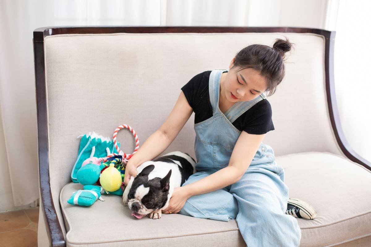 A trainer rewarding a dog with a treat during obedience practice